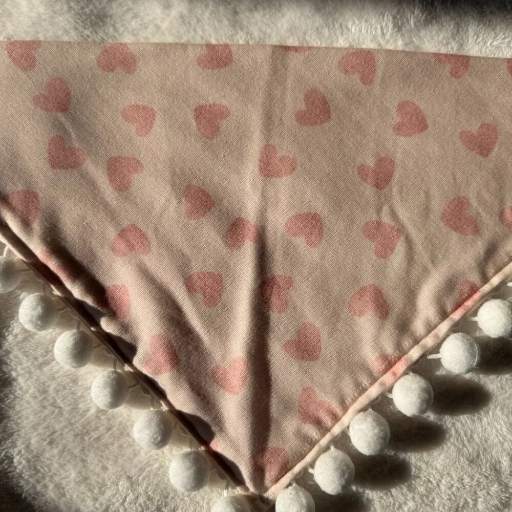 NWT Loic by Design Heart Pattern Dog Bandana with Poms Valentine's Day, Pink, M